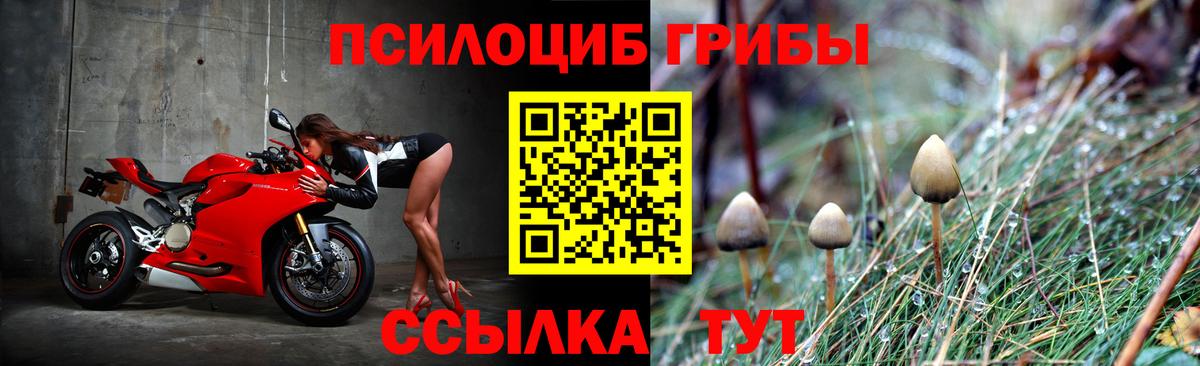 Армавир  Галлюциногенные грибы MAGIC MUSHROOMS  Вход с VPN 