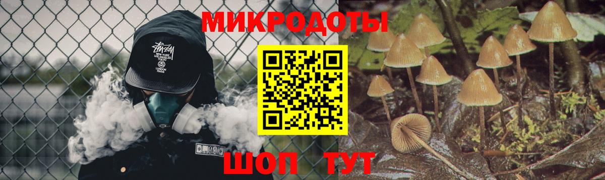 Псилоцибиновые грибы Psilocybine cubensis Армавир